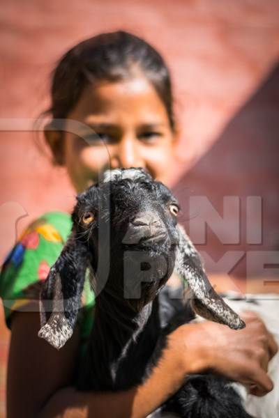 Girl holding a small cute goat with red orange background