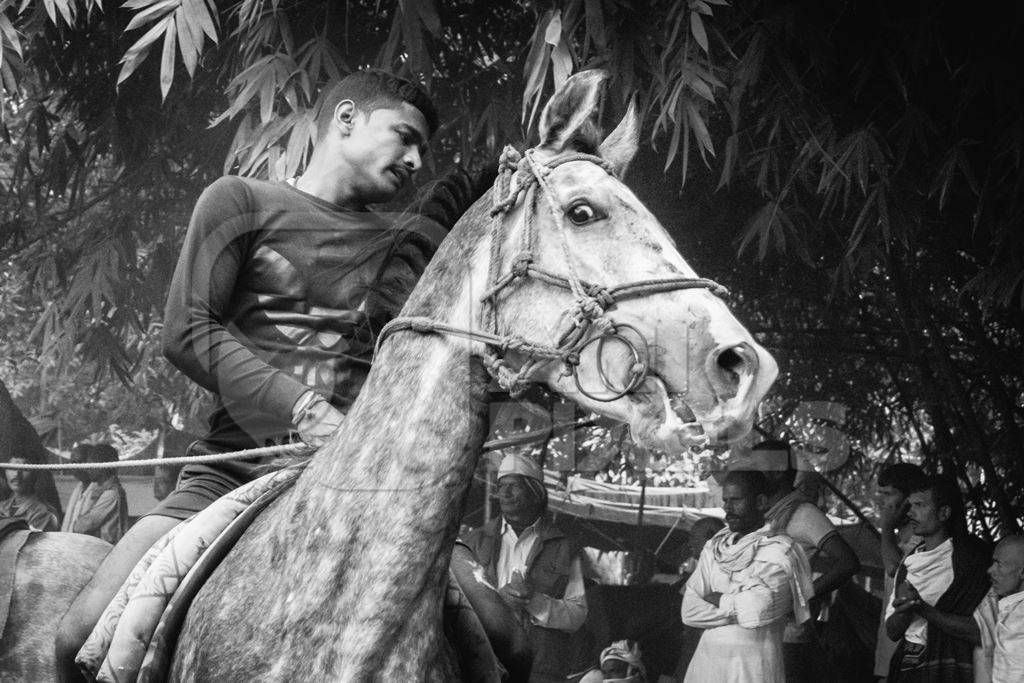 Horse in a horse race at Sonepur cattle fair with spectators watching in black and white