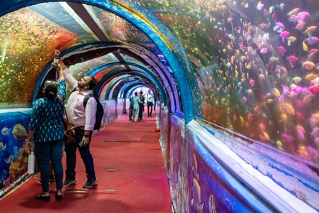 Many fish in an underwater fish tunnel expo aquarium in Pune, Maharashtra, India, 2024