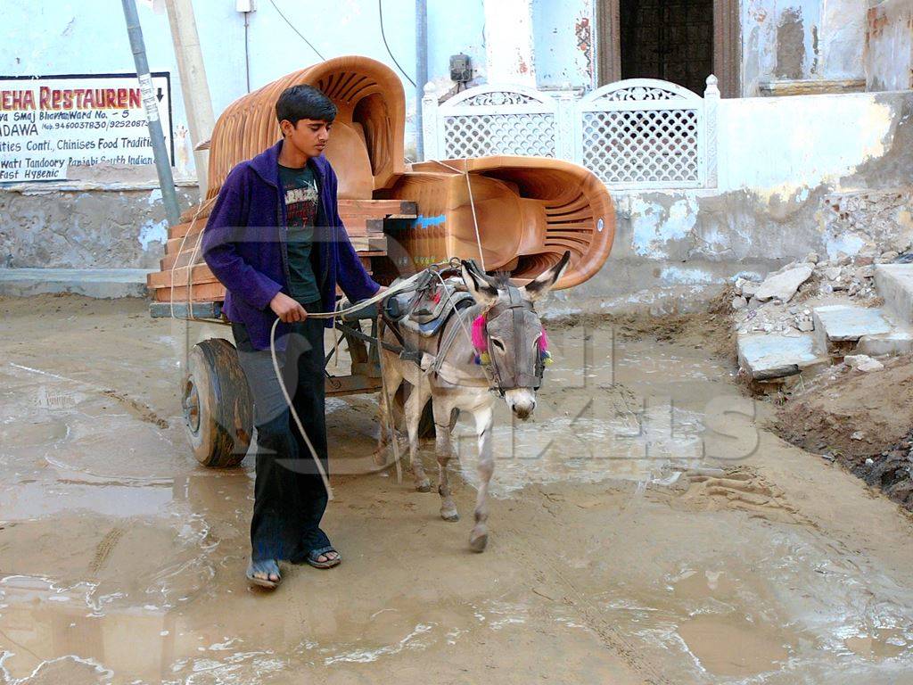 Donkey pulling cart loaded with chairs in street