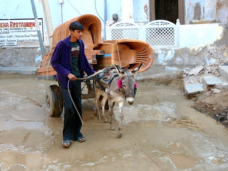 Donkey pulling cart loaded with chairs in street