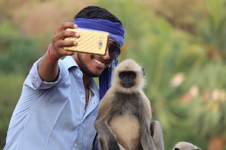 Man taking a selfie photo with a langur on mobile phone