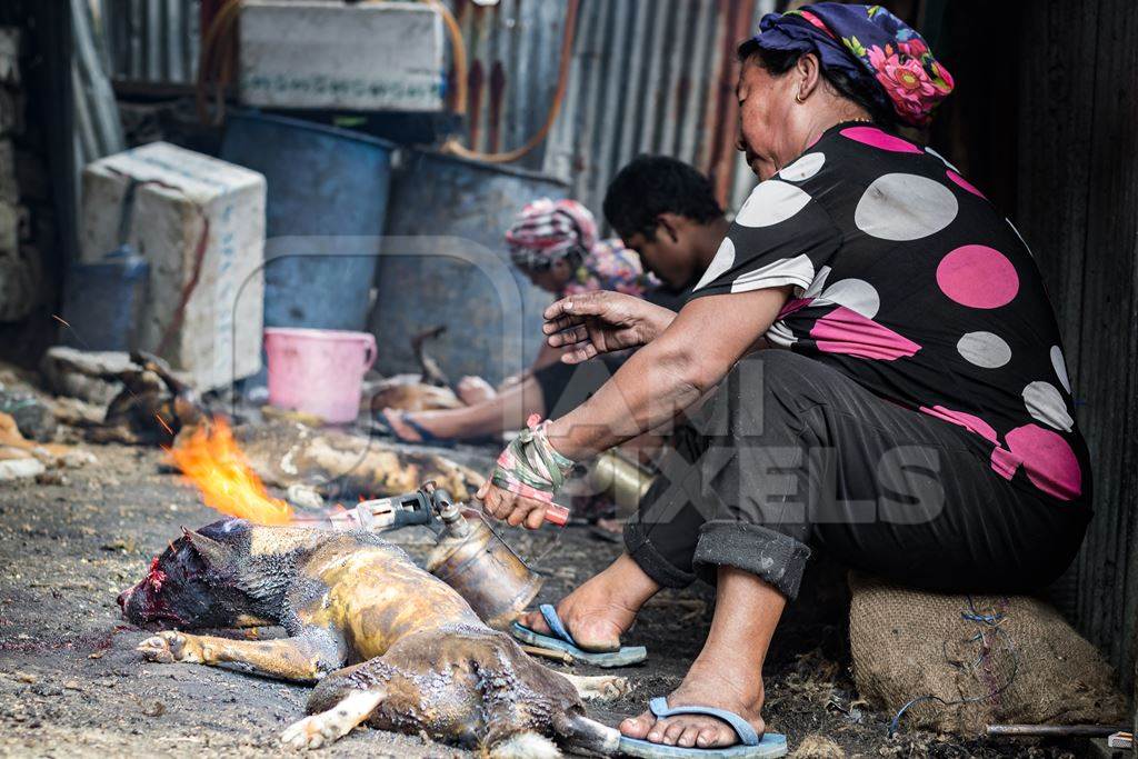 Dogs clubbed to death, blowtorched, then sold for dog meat at a dog market in Nagaland, India, 2018