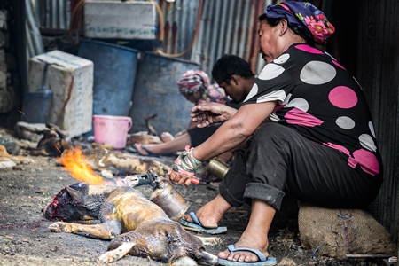 Dogs clubbed to death, blowtorched, then sold for dog meat at a dog market in Nagaland, India, 2018