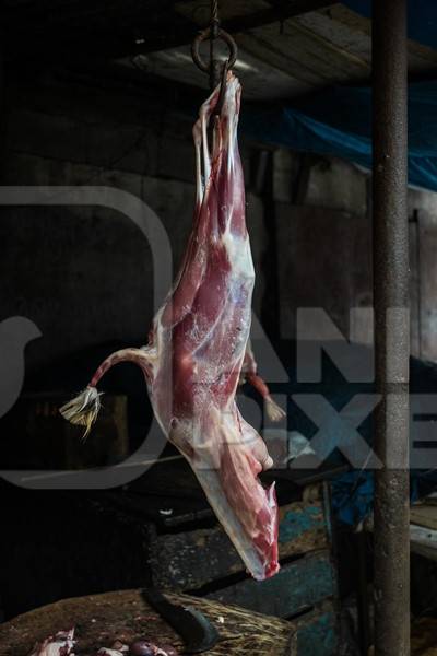 Indian goat meat hanging up on a hook at a mutton market, Kerala, India, 2016