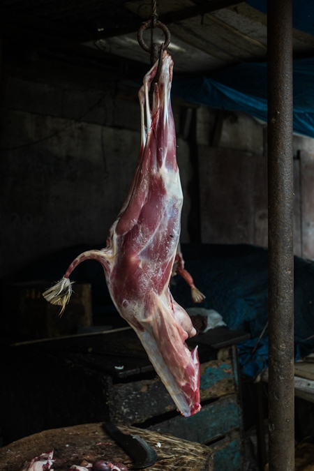Indian goat meat hanging up on a hook at a mutton market, Kerala, India, 2016