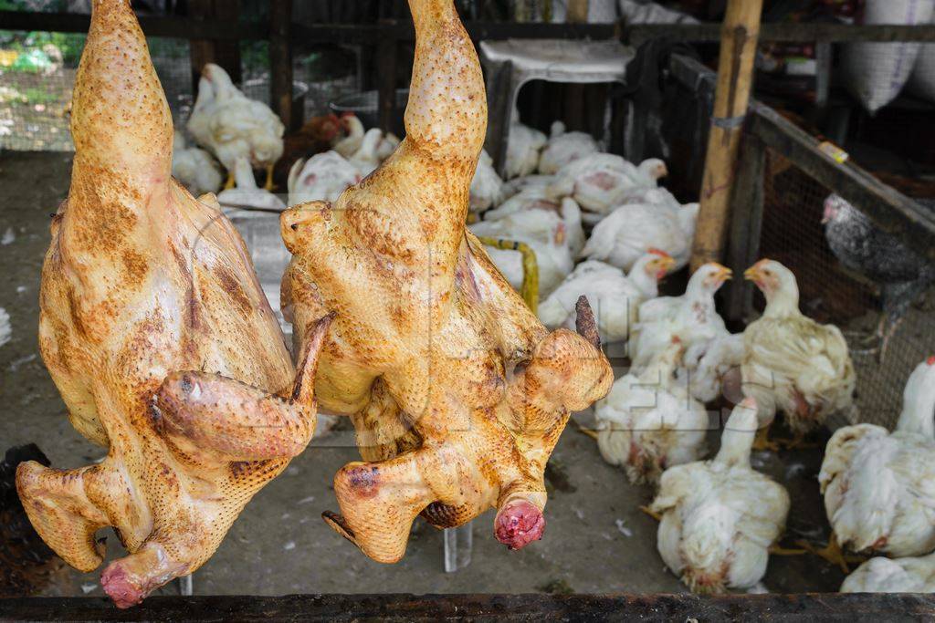 Cooked chickens on sale with live chickens in the background at a market