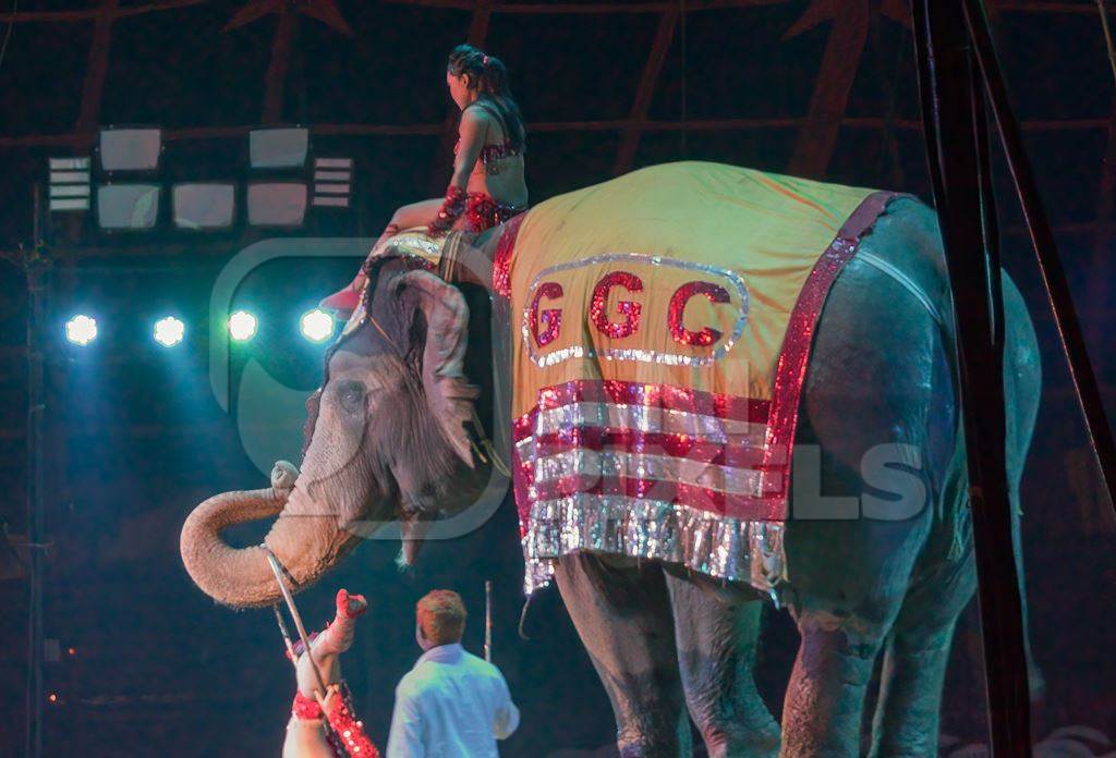 Performing elephant doing tricks with a circus lady at a circus in Mumbai