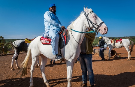 Man sitting on white horse used for tourist rides