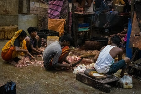 Slaughter workers killing chickens by cutting their throats with knives, at the chicken meat market inside New Market, Kolkata, India, 2022