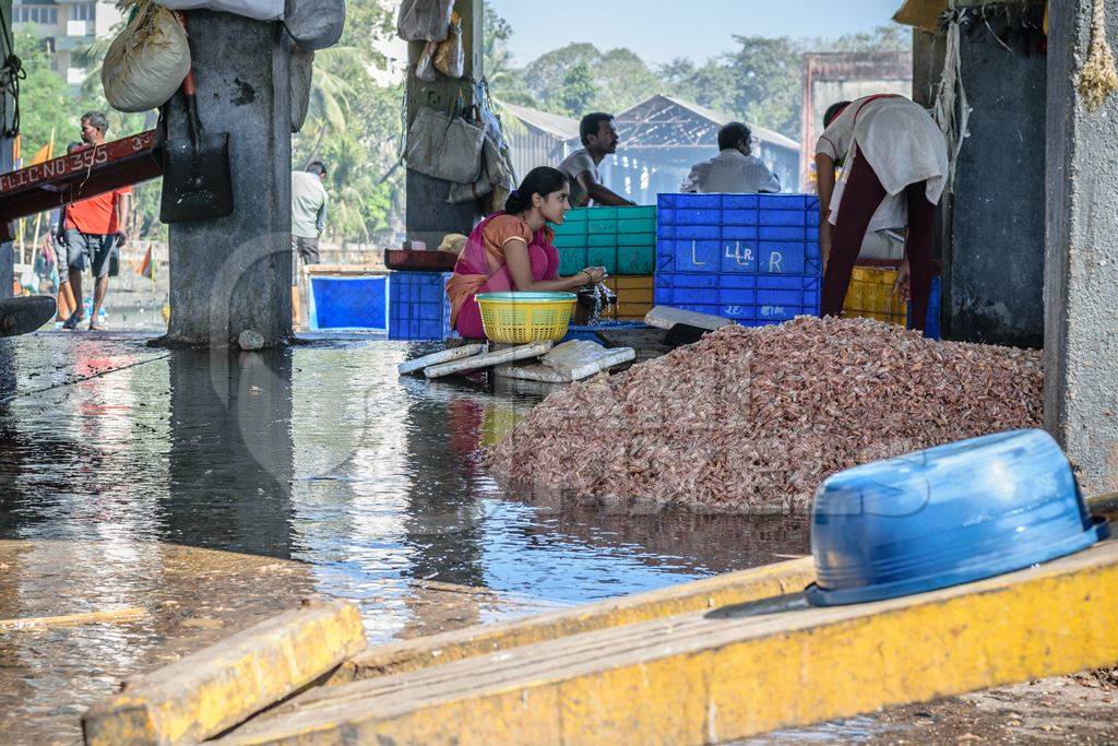 Large pile of shrimp on sale at a fish market at Sassoon Docks