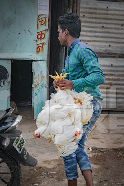 A worker transports a bunch of broiler chickens upside down from a motorbike to a chicken meat shop, Maharashtra, India, 2016