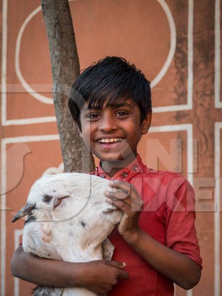 Portait of young Indian boy with goat and orange wall background, Jaipur, India, 2022