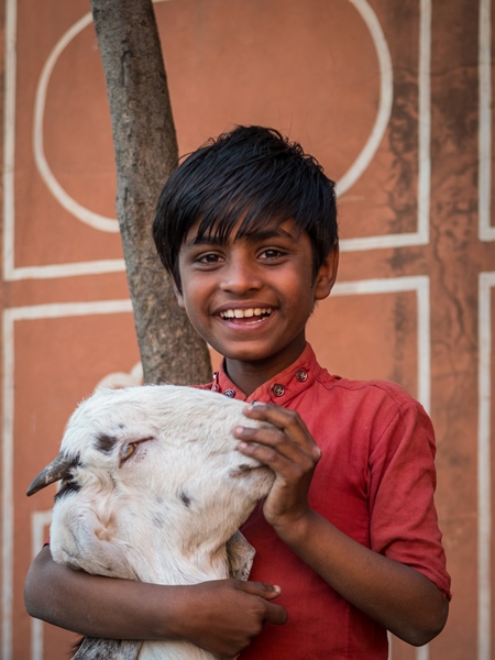 Portait of young Indian boy with goat and orange wall background, Jaipur, India, 2022