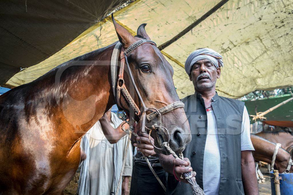 Man standing with a horse in a bridle at Sonepur cattle fair in black and white