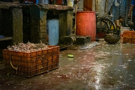 Crate of chicken carcass and dirty floor at the chicken meat market inside New Market, Kolkata, India, 2022
