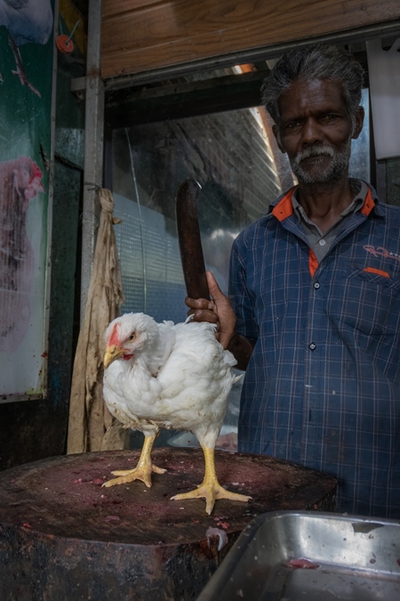 Indian broiler chicken on chopping block with butcher holding knife at a chicken meat shop in a live animal market, Kerala, 2018