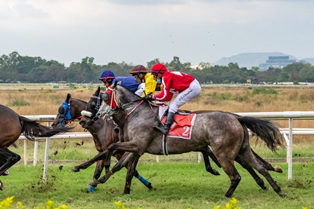 Three Indian horses racing in horse race at Pune racecourse, Maharashtra, India, 2021
