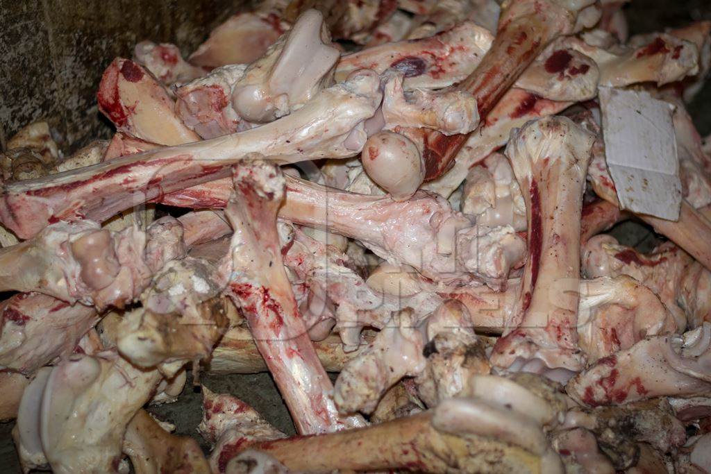 Pile of buffalo bones inside Crawford meat market in Mumbai, India, 2016