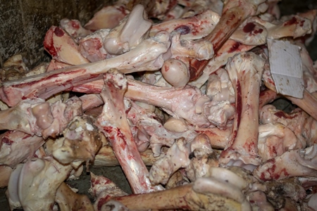 Pile of buffalo bones inside Crawford meat market in Mumbai, India, 2016