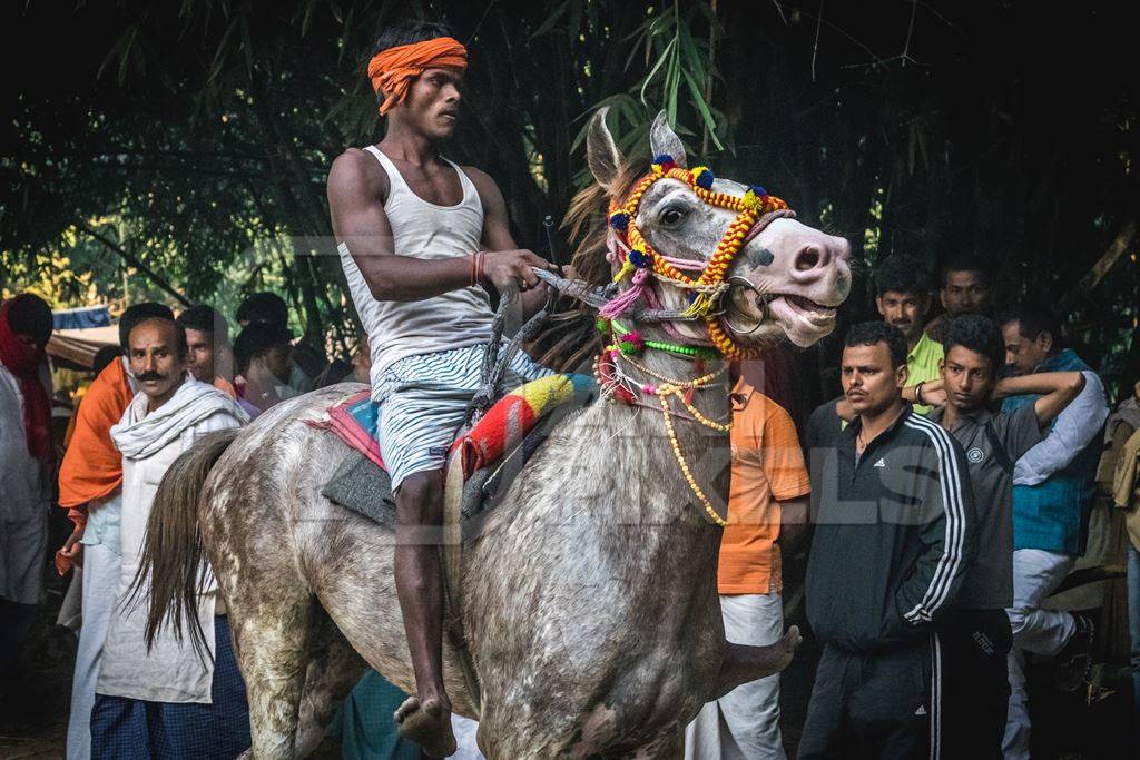 Grey horse in a horse race at Sonepur cattle fair with spectators watching