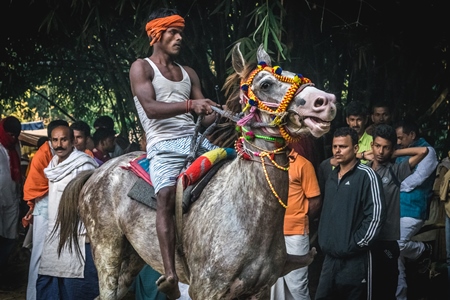 Grey horse in a horse race at Sonepur cattle fair with spectators watching