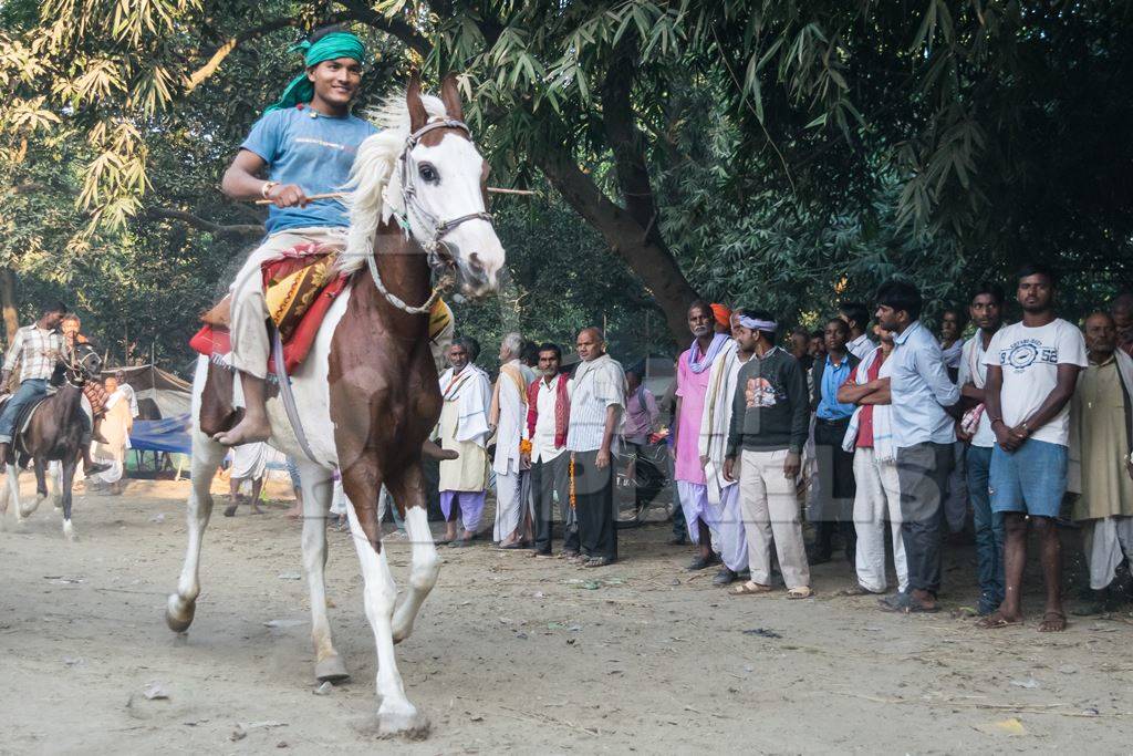 Boy with green turban riding brown and white horse in a horse race at Sonepur cattle fair with spectators watching