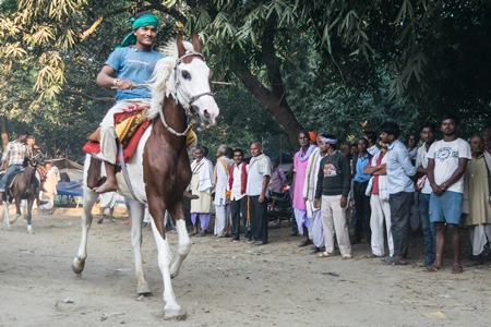 Boy with green turban riding brown and white horse in a horse race at Sonepur cattle fair with spectators watching