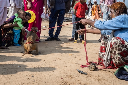 Man with dancing macaque monkeys  illegal performing for entertainment and begging for money for spectators at Pushkar camel fair in Rajasthan