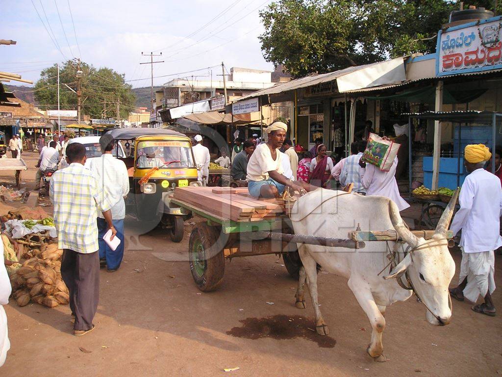 Bullock pulling man on cart in road