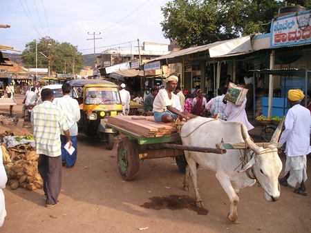 Bullock pulling man on cart in road