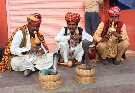 Indian men working as snake charmers playing pungi and begging for money with cobra snakes in baskets in Jaipur, Rajasthan in India