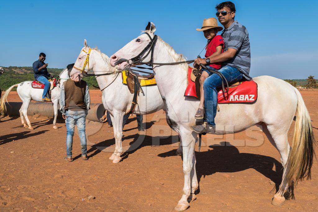 Tourists sitting on horses used for tourist rides