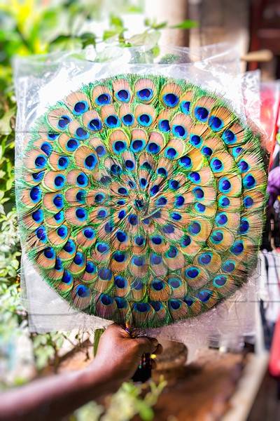 Sellers with green peacock feather fans on sale in street