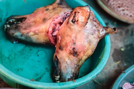 Dead dog heads on sale a dog meat market in Kohima in Nagaland, India, 2018