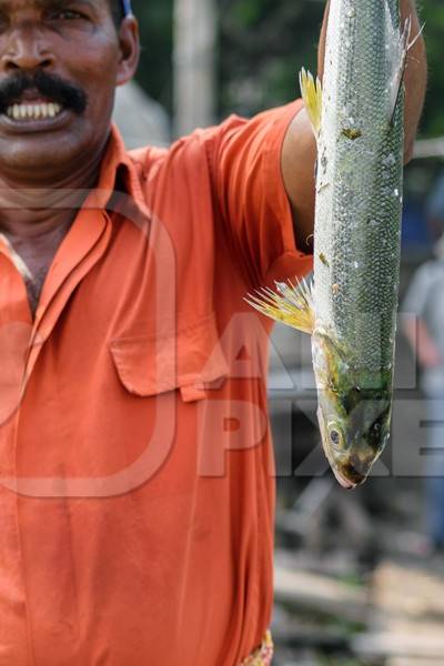 Man in orange holding up large fish caught at Kochi fishing harbour