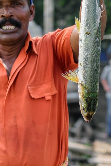 Man in orange holding up large fish caught at Kochi fishing harbour