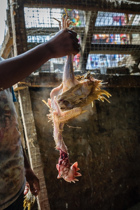 De-feathered chicken removed from boiling water and held upside down at a chicken market in Kohima in Nagaland, India, 2018