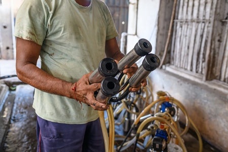 Worker holding milking machinery for Indian buffaloes on an urban dairy farm or tabela, Aarey milk colony, Mumbai, India, 2023