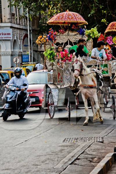Carriage horse in Mumbai on road