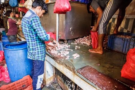 Indian broiler chickens being processed at Crawford meat market in Mumbai in India, 2016