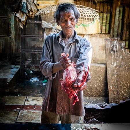 Worker ripping feathers off Indian broiler chicken at Crawford meat market, Mumbai, India, 2016