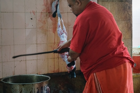 Priest cutting up an Indian goat killed for religious slaughter or animal sacrifice inside Kamakhya temple in Guwahati, Assam, India, 2018