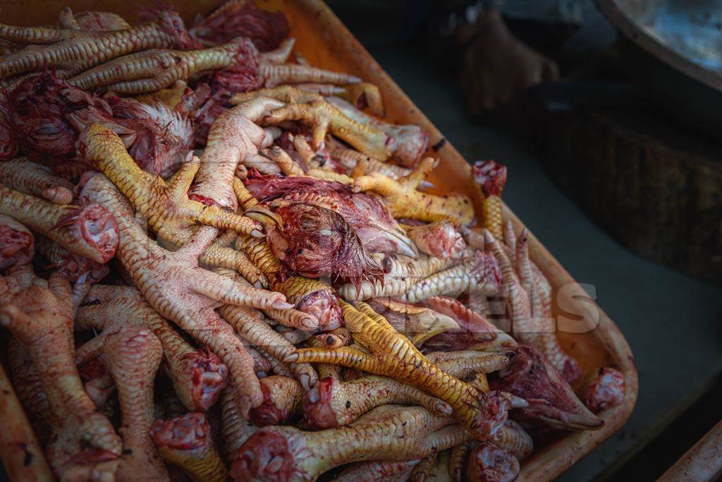 A tray contains chicken heads and feet in a chicken meat shop, Ajmer, Rajasthan, India, 2022