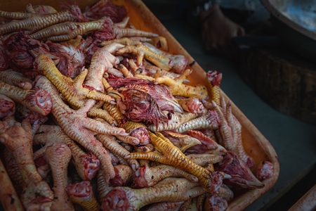 A tray contains chicken heads and feet in a chicken meat shop, Ajmer, Rajasthan, India, 2022