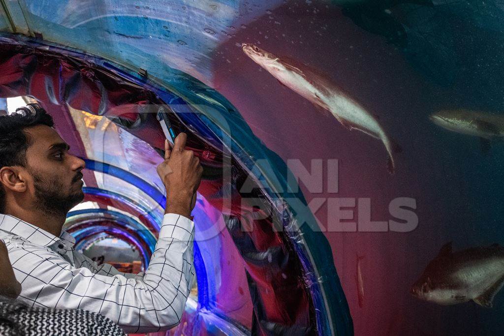 Spectators watching fish in a tank at an underwater fish tunnel expo aquarium in Pune, Maharashtra, India, 2024