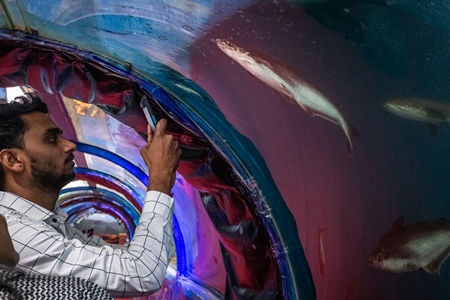 Spectators watching fish in a tank at an underwater fish tunnel expo aquarium in Pune, Maharashtra, India, 2024