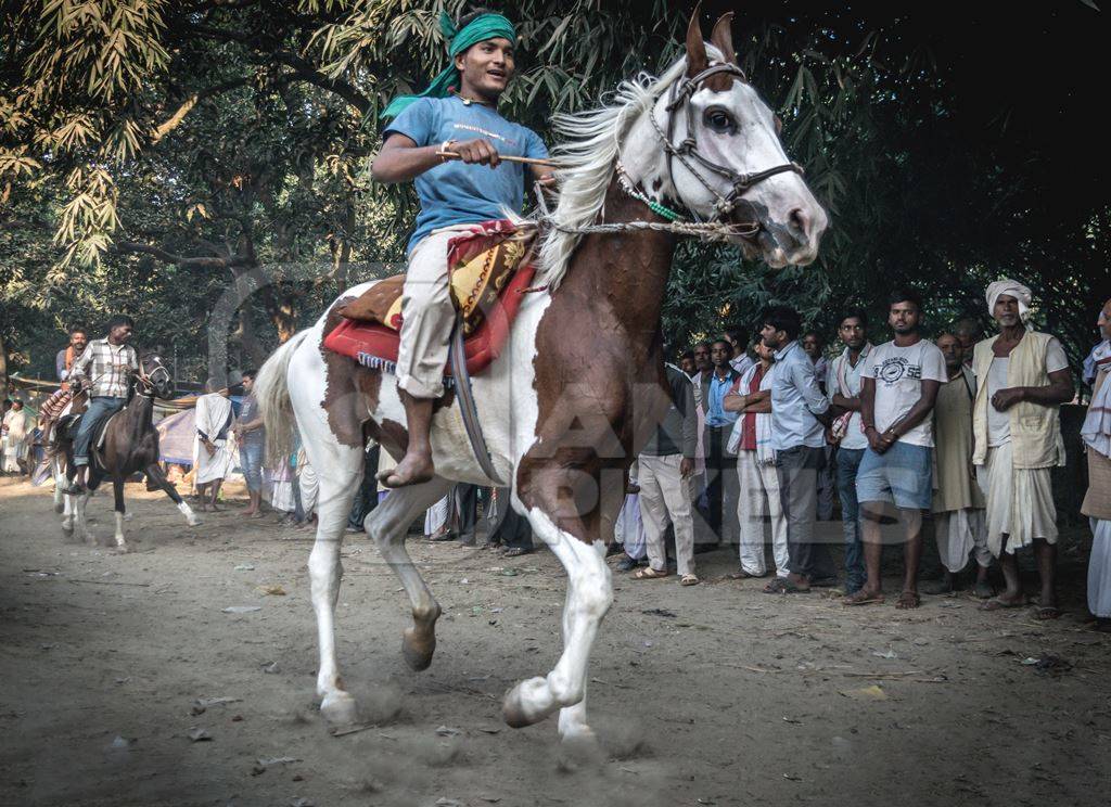 Boy with green turban riding brown and white horse in a horse race at Sonepur cattle fair with spectators watching