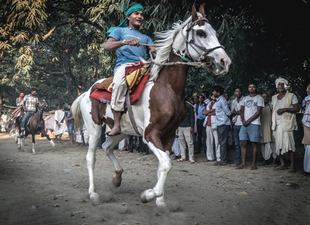 Boy with green turban riding brown and white horse in a horse race at Sonepur cattle fair with spectators watching