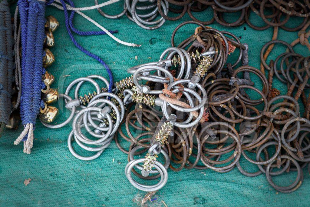 Horse bits including spiked or thorn bits at Nagaur Cattle Fair, Nagaur, Rajasthan, India, 2022